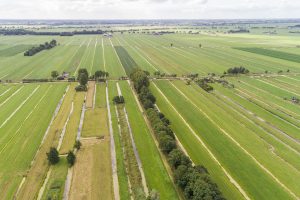Waalhof weilanden Waal